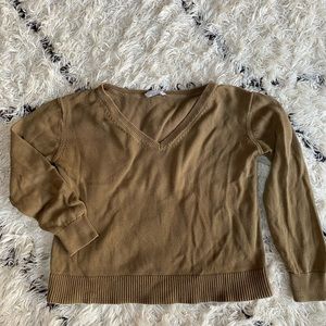 Everlane cotton v neck sweater